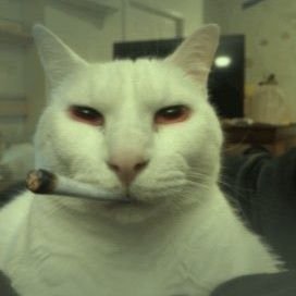 EzemiauW's profile picture. ola weas