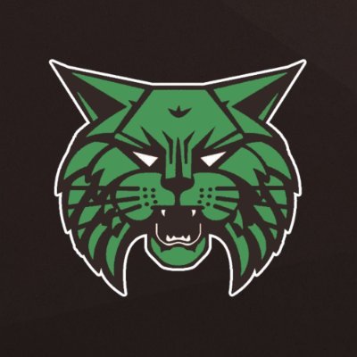 WJWildcats Profile Picture