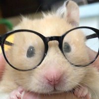 ve (@hiveloss) 's Twitter Profile Photo ve (@hiveloss) 's Twitter Profile Photo