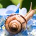 🐌 (@chiimmoommoo) Twitter profile photo 🐌 (@chiimmoommoo) Twitter profile photo