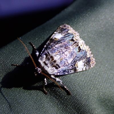 do_0404's profile picture. 嗜む程度に