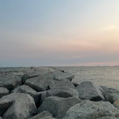 SadPand89859556's profile picture. 