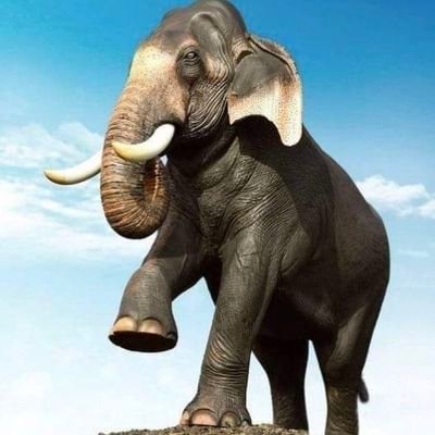 ௐ 卐 ॐ தேசியமும் தெய்வீகமும் நம் இரு கண்கள் 🚩🕉 🇮🇳
𝘉𝘩𝘢𝘳𝘢𝘵𝘪𝘺𝘢 𝘚𝘵𝘰𝘤𝘬
