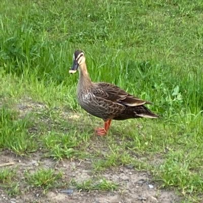 rey1732853's profile picture. 