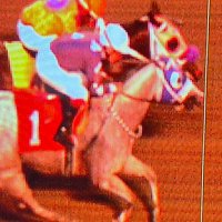 Aldo Matias (@jockeyagentaldo) 's Twitter Profile Photo