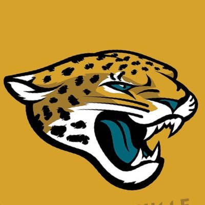 -Jags fan