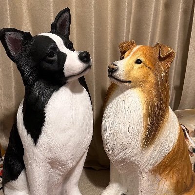 bodakoli's profile picture. 初めまして☺️基本的に普通の人は #followback💯 #相互フォロー💯 しようと思いますがスパムアカウントはフォローバック&相互フォロー出来ません、悪質な場合ブロックします☹️
🚫DM.
RPは🐈のみとなります☺️
たまにこちらでもポストして楽しめたら良いなと思います😉
宜しくお願いします🙇