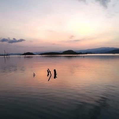 Dokdokdrink's profile picture. 