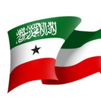 Nura Ahmed Waris (@nura_waris) 's Twitter Profile Photo