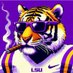 Tiger Vibes (@Tiger__Vibes) Twitter profile photo