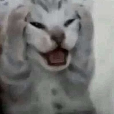 da_n722's profile picture. 