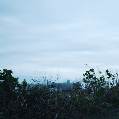 wato202's profile picture. 情熱と冷静のあいだ