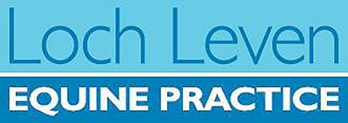 LochLevenEquine's profile picture. Compassionate, dedicated equine vets covering Kinross, Perthshire and Fife, caring for you and your horse.