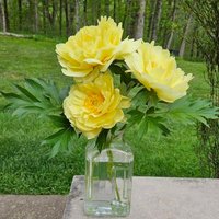 Mlsa - Indiana (@mlsalewis) 's Twitter Profile