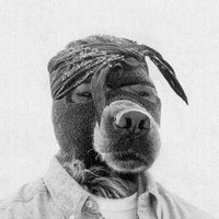 Crypto Dawg!!!! (@swaroopesd) 's Twitter Profile