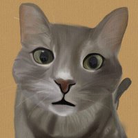 felis (@felistekircan) Twitter profile photo