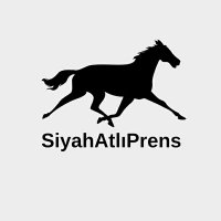 Siyah Atlı Prens(@siyahatliprens0) 's Twitter Profile Photo