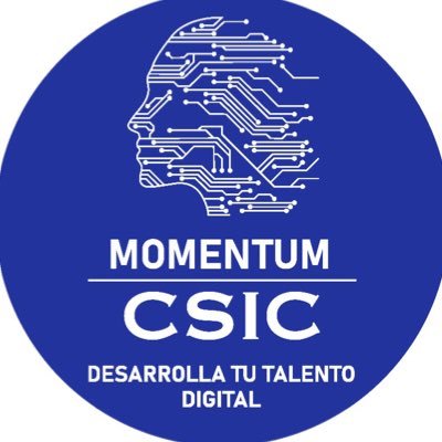 MOMENTUM CSIC Profile