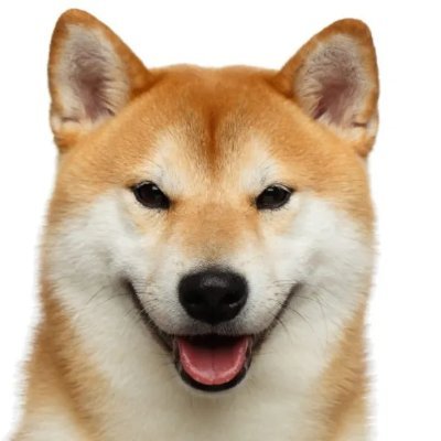 MarcosLalo28's profile picture. 