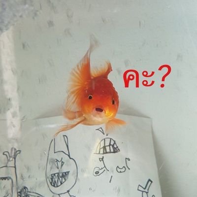 Chaniiplz's profile picture. ⟭⟬E ARE B⟬⟭CK ⊙⊝⊜
@BTS_twt 
@TXT_bighit
#MoArmy 
@cortis_bighit #COER