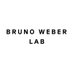 Bruno Weber Lab (@BrunoWeberLab) Twitter profile photo