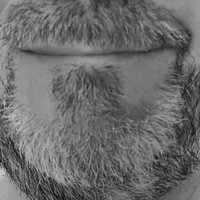 Dan (@danny53734686) 's Twitter Profile