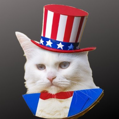 $AmericanCat is the biggest memecoin in the biggest country in the world.