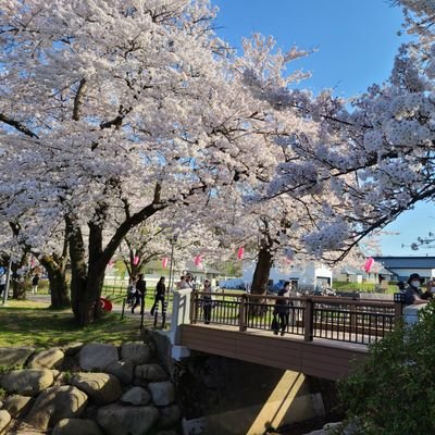 避難用です。日常ポストもゆる〜く。　　　　　　　　　　　　　　　　　　　　　　　　よろしくお願いいたします🌸