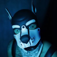 PUP WONKA (@pupwonka) 's Twitter Profile Photo PUP WONKA (@pupwonka) 's Twitter Profile Photo