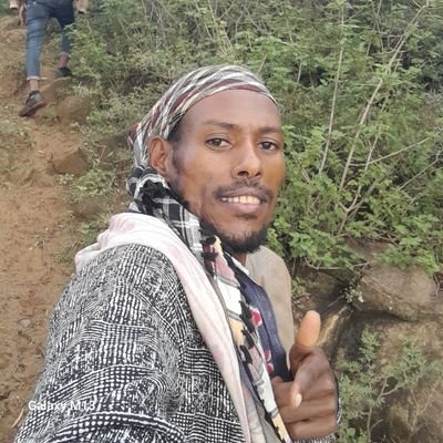 I studied BSc in  Hydraulic and Water Resource Engineering at Debre Tabor University and Now i'm working in Government office.