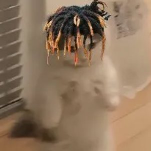 exbanditures's profile picture. retard choices for retard monies. alt of many alts