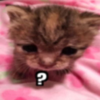 Small young desperate cuntboy dm for disc I only use this account when my urge to be reckless kicks in when I’m feeling like shit I have bpd