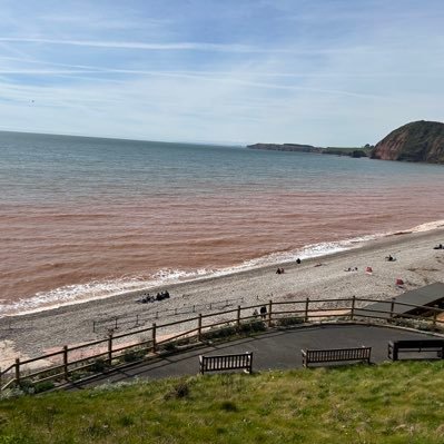 tinoju16's profile picture. 