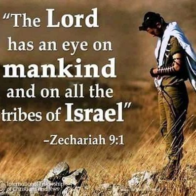 NinoBagoC's profile picture. 