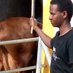 Itungo dairy farm (@isaacitungo) Twitter profile photo Itungo dairy farm (@isaacitungo) Twitter profile photo