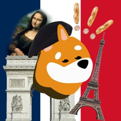 Only French account of the crypto BONK !!
                                
Seul compte Français de la crypto BONK !!