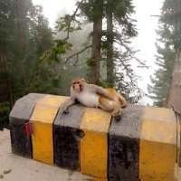 DAS (@daskar922) 's Twitter Profile