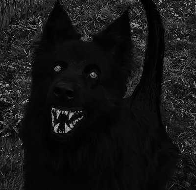Derpydog_woof's profile picture. 