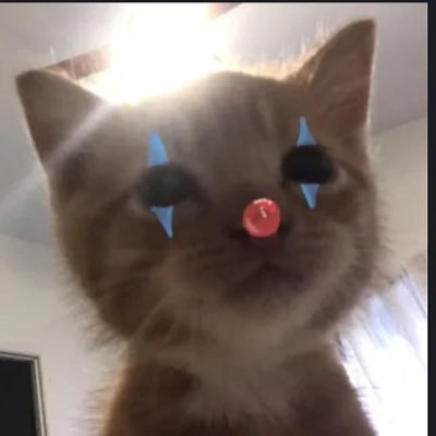 freshrengar Profile Picture