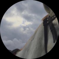 ⭐️ (@_ma110_) Twitter profile photo