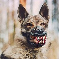 Oxylo 😷 (@oxylo_) 's Twitter Profile Photo Oxylo 😷 (@oxylo_) 's Twitter Profile Photo