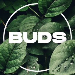 Buds Network