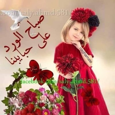 تابعني اتابعك 💝فرز متابعين يومي🌼الخــــاص مهمل 🌼