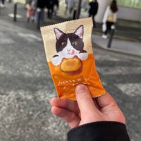 かくちゃん (@9sovf8ageo92253) 's Twitter Profile