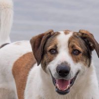 Marijke de Ruiter (@ruiter_marijke) Twitter profile photo