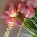 amorë (@blue_tulipsss) Twitter profile photo amorë (@blue_tulipsss) Twitter profile photo