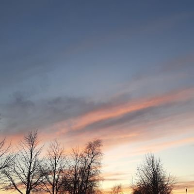 lvsjien386's profile picture. 탈조함