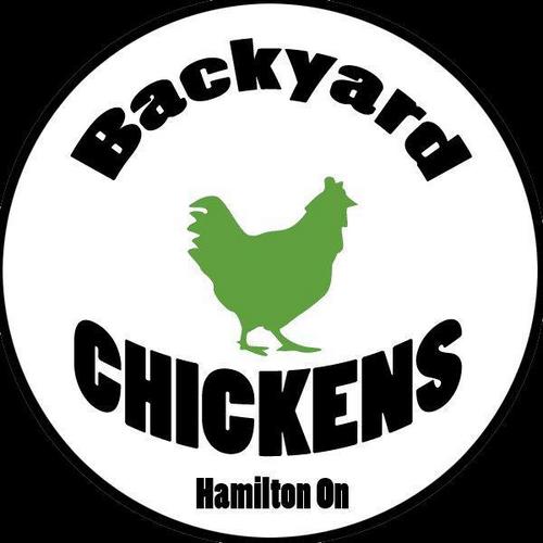 We are working hard to promote the changing of the Hamilton by-laws that currently prohibit chickens in Hamilton Ontario