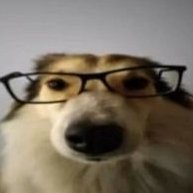 IsmaelM44's profile picture. Historia, Filosofía y Política // Level 23 // Ciencias Políticas en la UPO // Escritor en desarrollo // LGTB+ friendly 🇵🇸