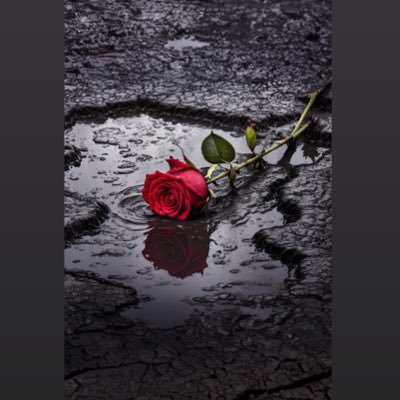 AngelicaVajda28's profile picture. 